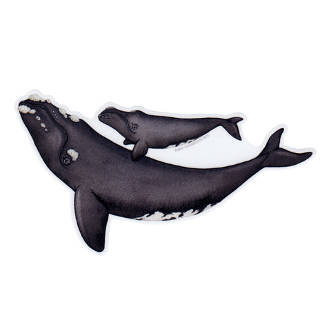 Wholesale Vinyl Sticker: Right Whale with Baby