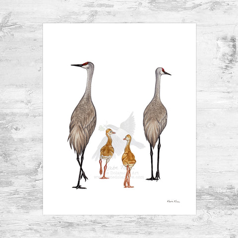 Wholesale Art Print: Sandhill Crane Family of 4