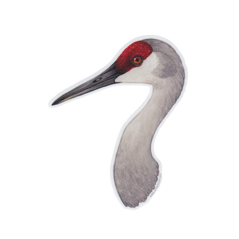 Wholesale Vinyl Sticker: Sandhill Crane Portrait