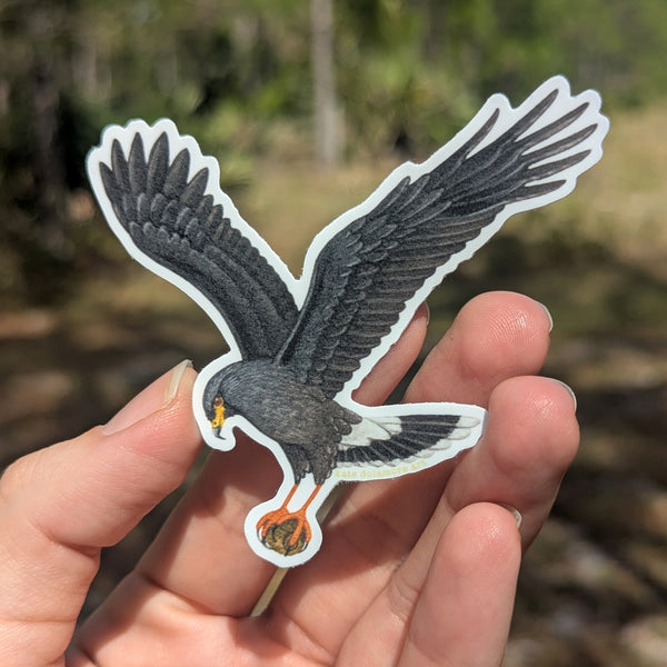 Wholesale Vinyl Sticker: Snail Kite