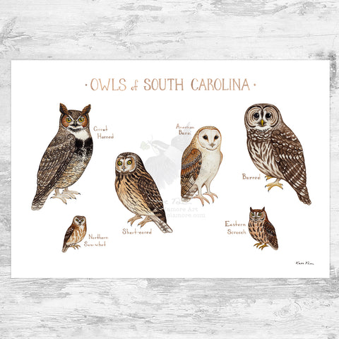 Wholesale Owls Field Guide Art Print: South Carolina