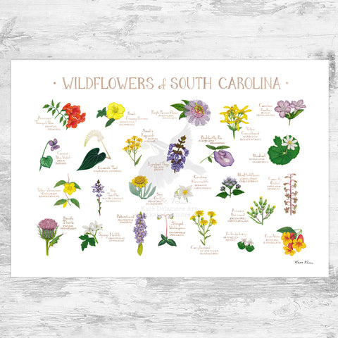 Wholesale Wildflowers Field Guide Art Print: South Carolina