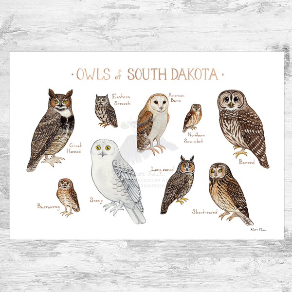 Wholesale Owls Field Guide Art Print: South Dakota