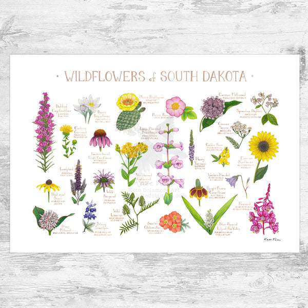 Wholesale Wildflowers Field Guide Art Print: South Dakota