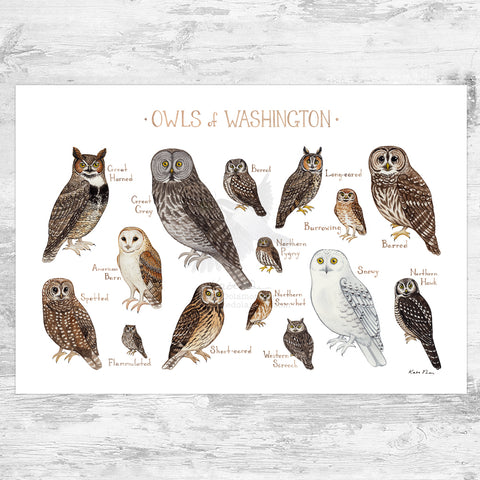 Wholesale Owls Field Guide Art Print: Washington