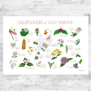 Wholesale Wildflowers Field Guide Art Print: West Virginia