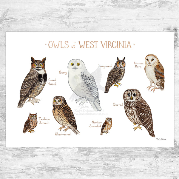 Wholesale Owls Field Guide Art Print: West Virginia
