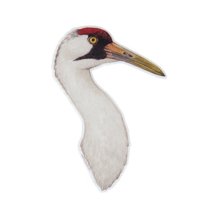 Wholesale Vinyl Sticker: Whooping Crane Portrait