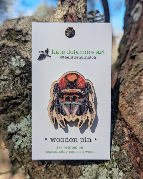 Wholesale Wooden Pins: Regal Jumping Spider