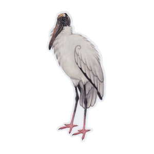 Wholesale Vinyl Sticker: Wood Stork (floofed)