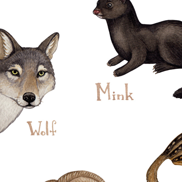 Wholesale Mammals Field Guide Art Print: Wyoming