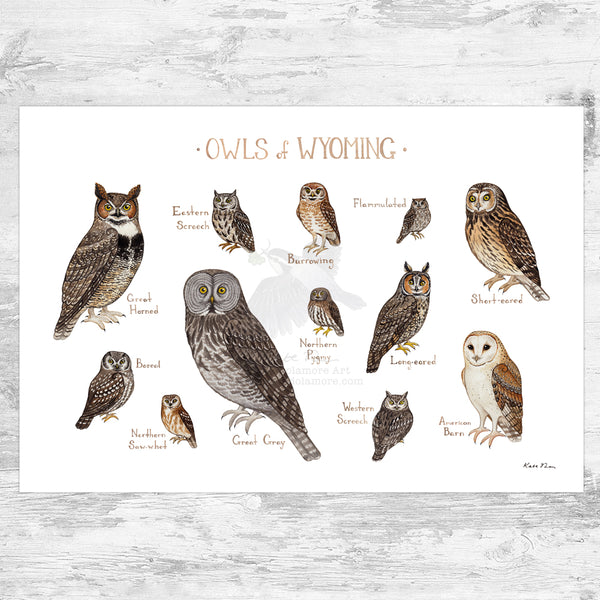 Wholesale Owls Field Guide Art Print: Wyoming