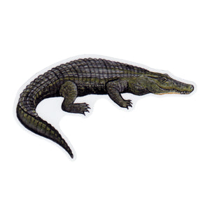 Wholesale Vinyl Sticker: Alligator