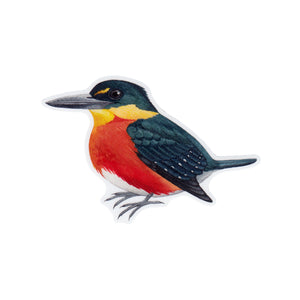Wholesale Vinyl Sticker: American Pygmy Kingfisher