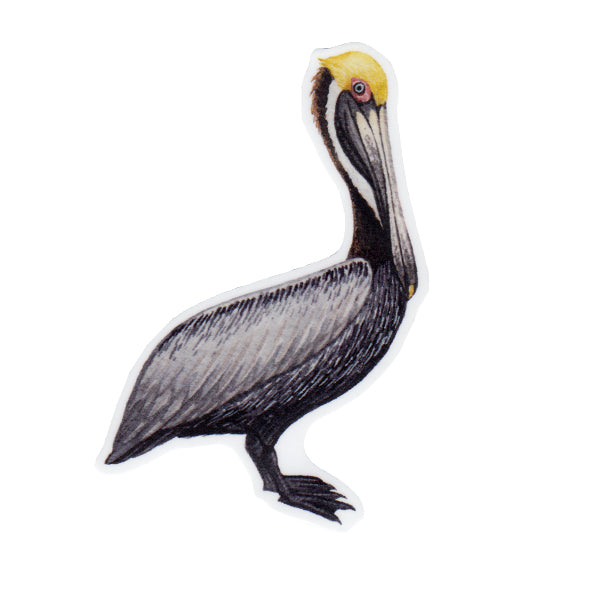 Wholesale Vinyl Sticker: Brown Pelican