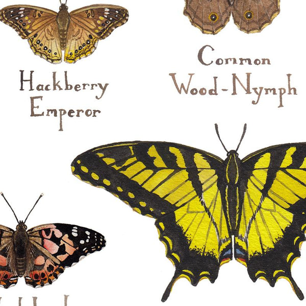 Wholesale Butterflies Field Guide Art Print: Alabama
