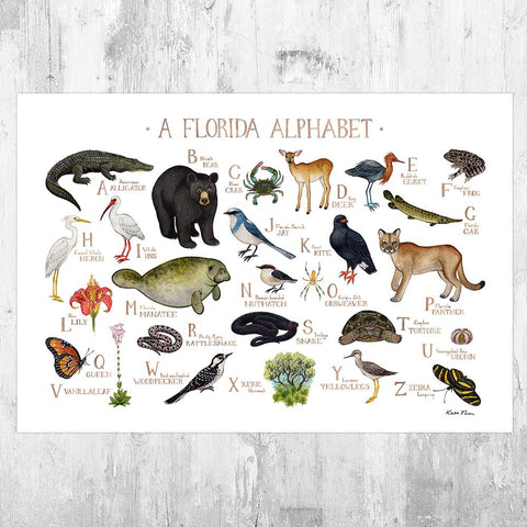 Wholesale Field Guide Art Print: A Florida Alphabet