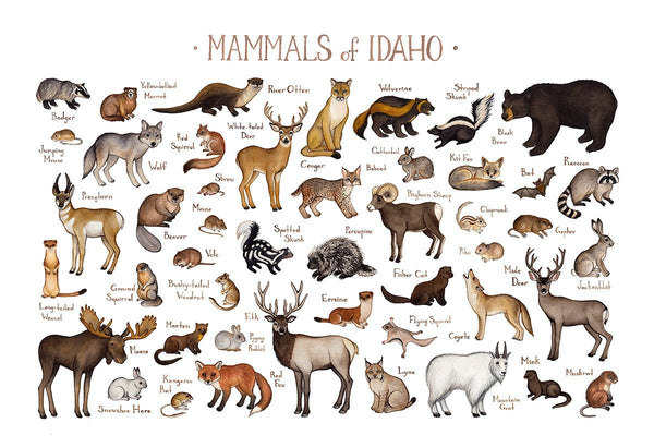 Idaho Mammals Field Guide Art Print