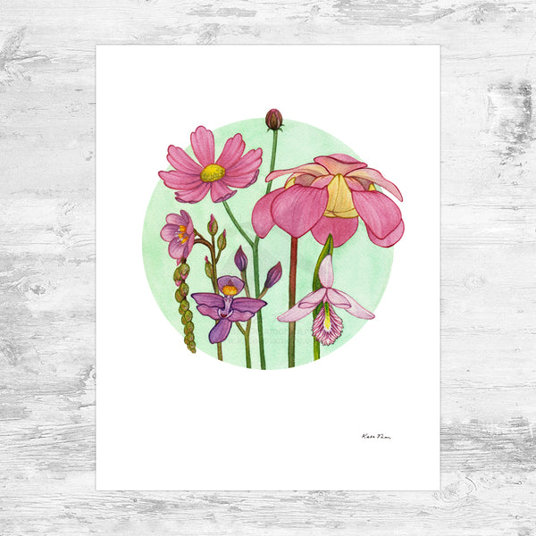 Wholesale Art Print: Pink Bog