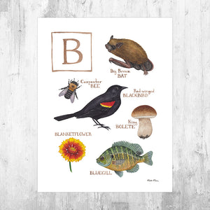 Wholesale Field Guide Art Print: The Letter B