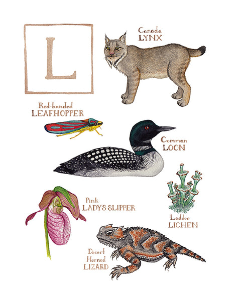 Wholesale Field Guide Art Print: The Letter L