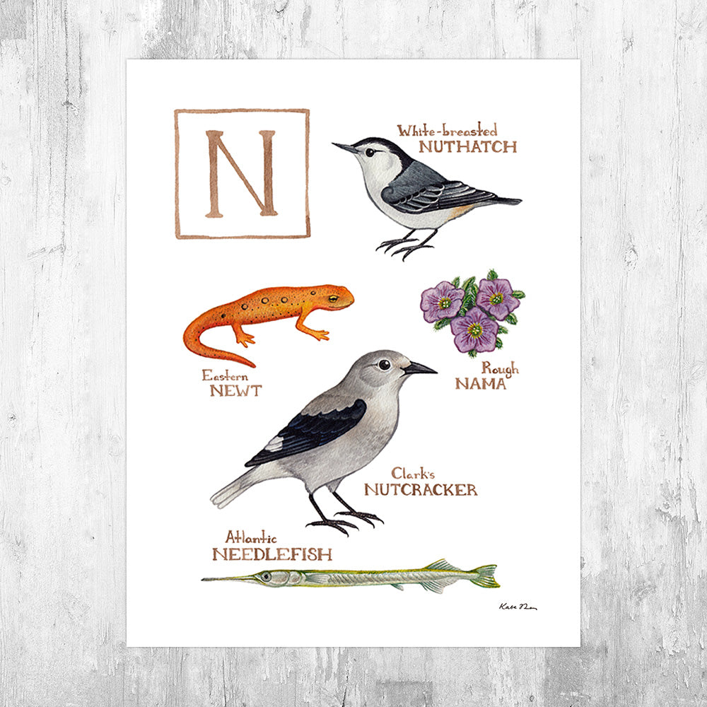 Wholesale Field Guide Art Print: The Letter N