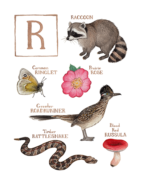 Wholesale Field Guide Art Print: The Letter R