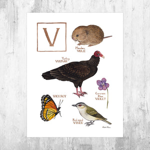 Wholesale Field Guide Art Print: The Letter V