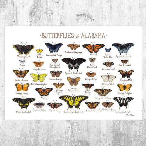 Wholesale Butterflies Field Guide Art Print: Alabama
