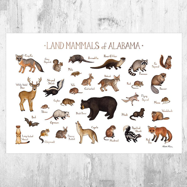 Wholesale Mammals Field Guide Art Print: Alabama