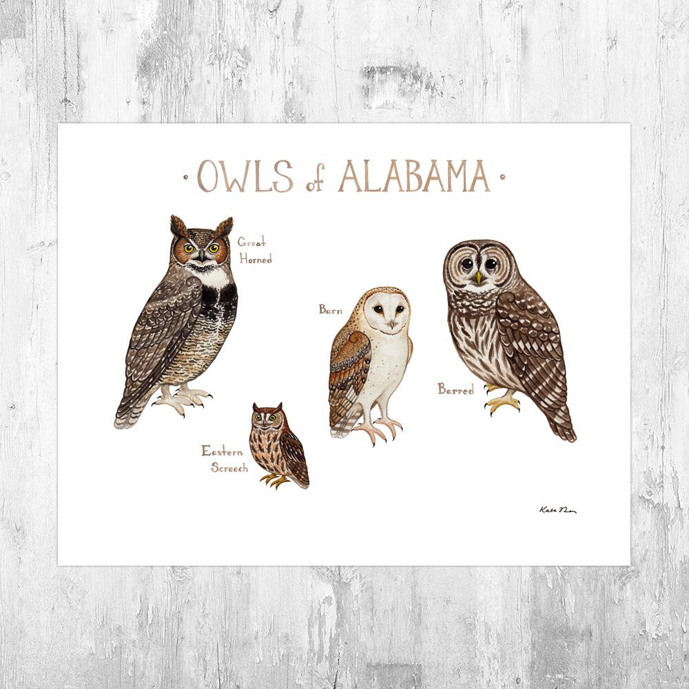 Wholesale Owls Field Guide Art Print: Alabama