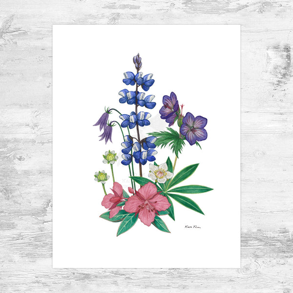 Wholesale Art Print: Alaska Wildflower Bouquet (Valdez Edition)