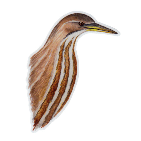 Wholesale Vinyl Sticker: American Bittern