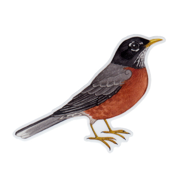 Wholesale Vinyl Sticker: American Robin