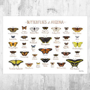 Wholesale Butterflies Field Guide Art Print: Arizona