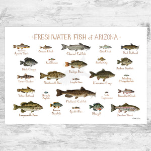 Wholesale Freshwater Fish Field Guide Art Print: Arizona