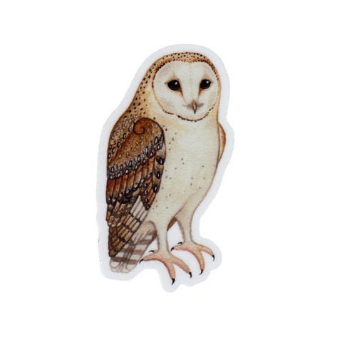 Wholesale Vinyl Sticker: Barn Owl
