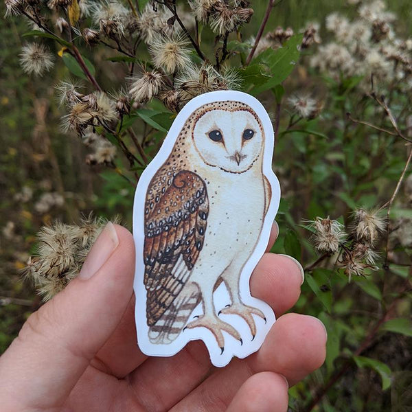 Wholesale Vinyl Sticker: Barn Owl