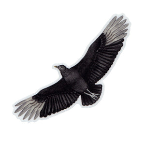 Wholesale Vinyl Sticker: Black Vulture (In Flight)