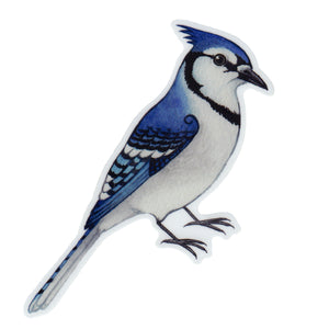 Wholesale Vinyl Sticker: Blue Jay