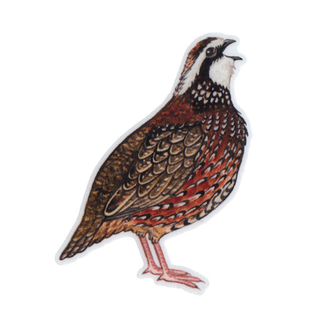 Wholesale Vinyl Sticker: Bobwhite Quail