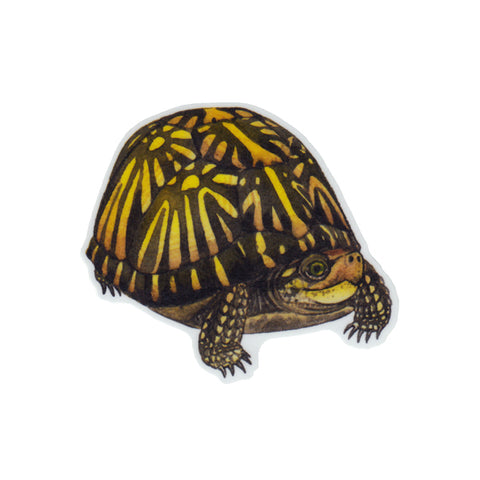 Wholesale Vinyl Sticker: Florida Box Turtle