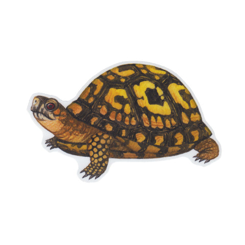 Wholesale Vinyl Sticker: Eastern Box Turtle
