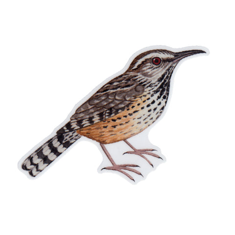 Wholesale Vinyl Sticker: Cactus Wren