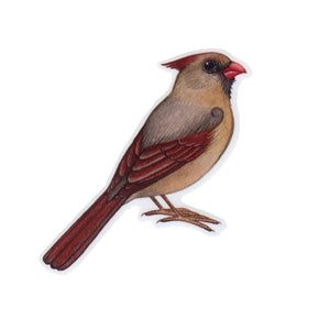 Wholesale Vinyl Sticker: Northern Cardinal (Female)