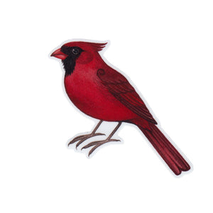 Wholesale Vinyl Sticker: Northern Cardinal (Male)