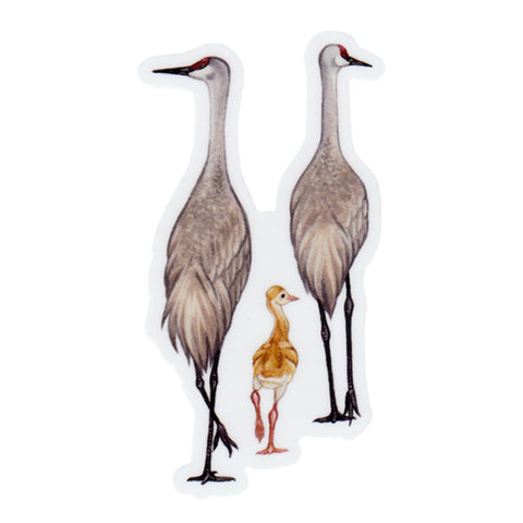 Wholesale Vinyl Sticker: Sandhill Crane Family