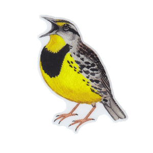 Wholesale Vinyl Sticker: Eastern Meadowlark