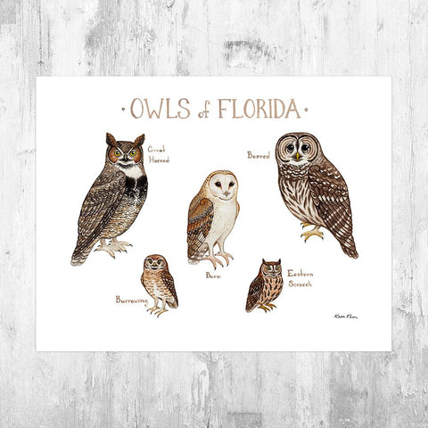 Wholesale Owls Field Guide Art Print: Florida
