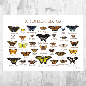 Wholesale Butterflies Field Guide Art Print: Georgia